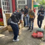 WhatsApp Image 2025-10-30 at 1.08.50 PM