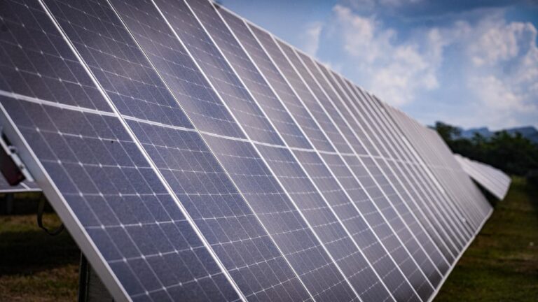 WhatsApp Image 2026-01-29 at 9.59.02 AM